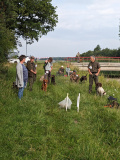 Groep