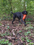 Freya-dummy