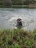 Oscar-water