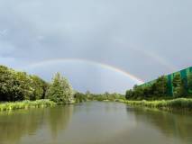 Regenboog