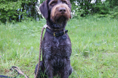 Voorjaarstraining CB 2021