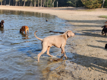 wandeling 2021 3