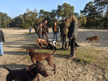 wandeling 2021 21