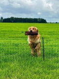 IMG-20240616-WA0004